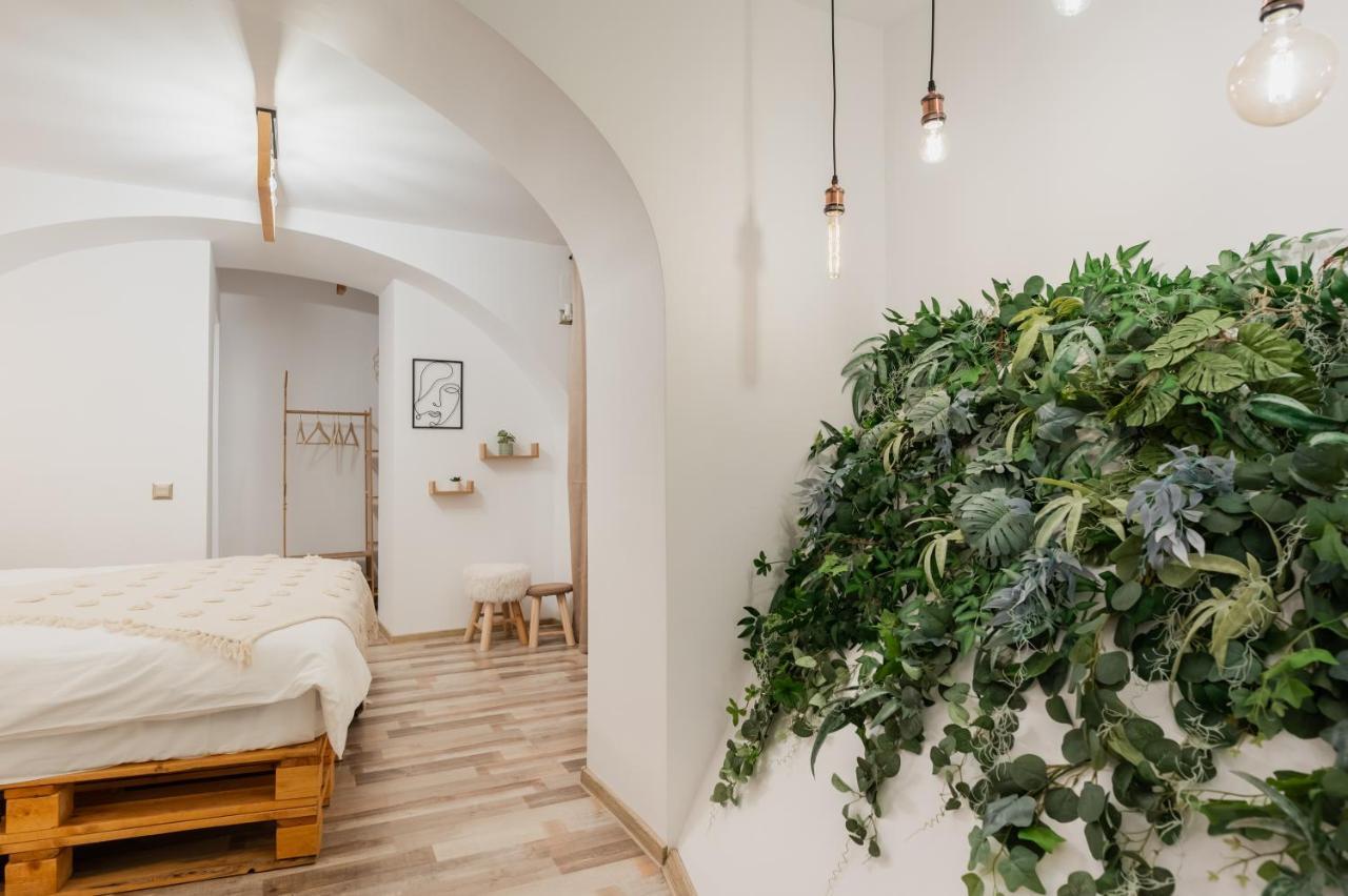 Cozee Studio - In Inima Brasovului Екстериор снимка